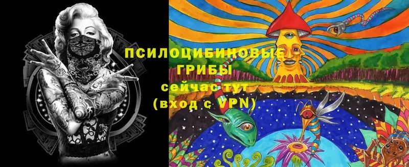 Галлюциногенные грибы MAGIC MUSHROOMS  что такое   Каспийск 